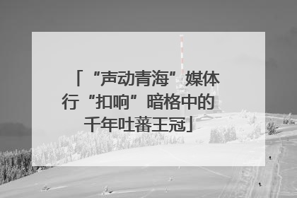 “声动青海”媒体行“扣响”暗格中的千年吐蕃王冠
